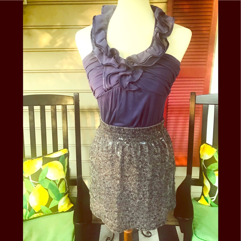 Garnet Hill Grey Sequined Skirt XS FREE SHIP